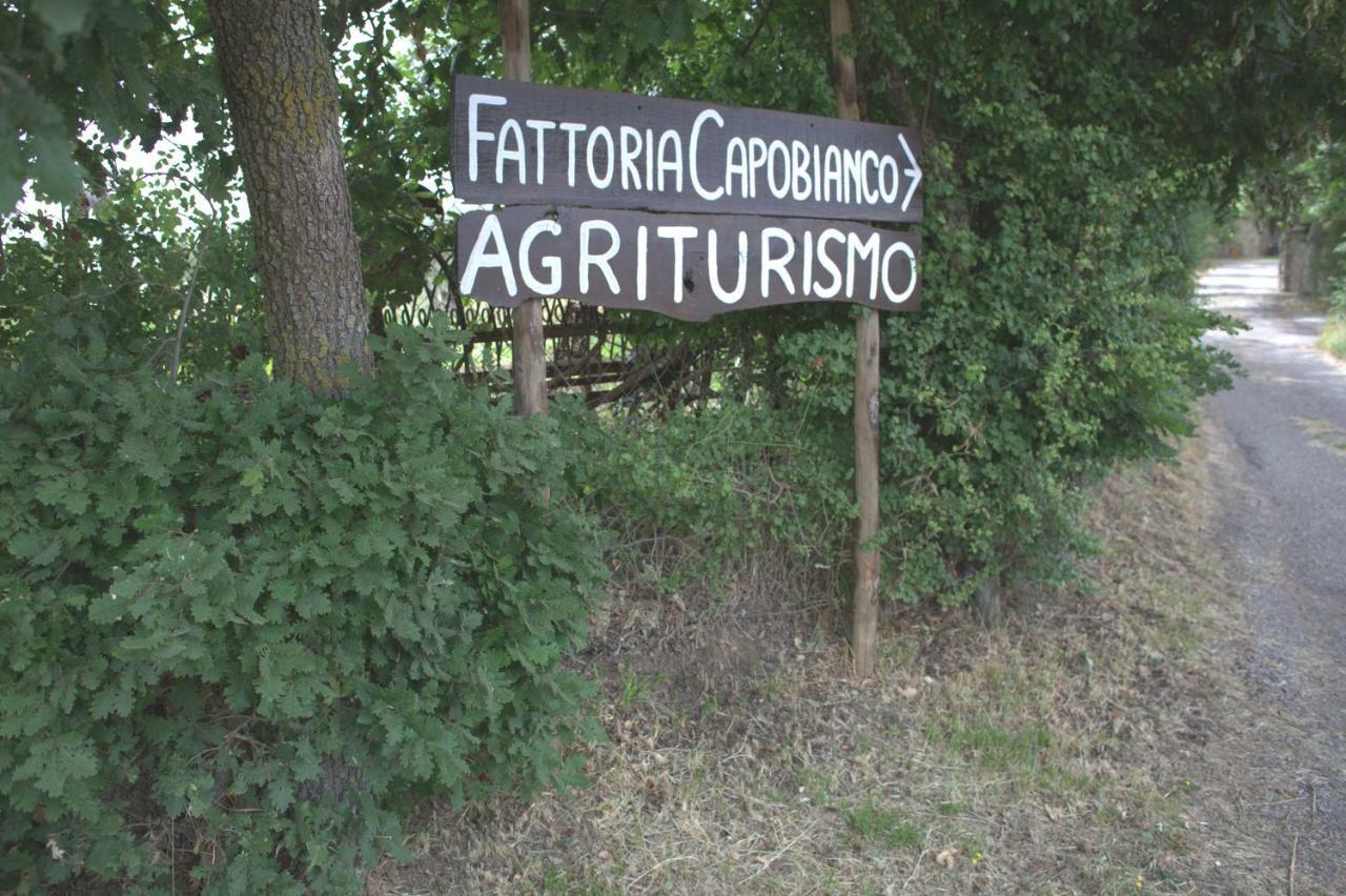 Fattoria Capobianco Villa มอนเตเฟียสโกเน ภายนอก รูปภาพ